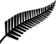 New Zealand test team logo
