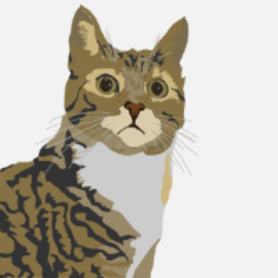 Our tabby cat Cateya